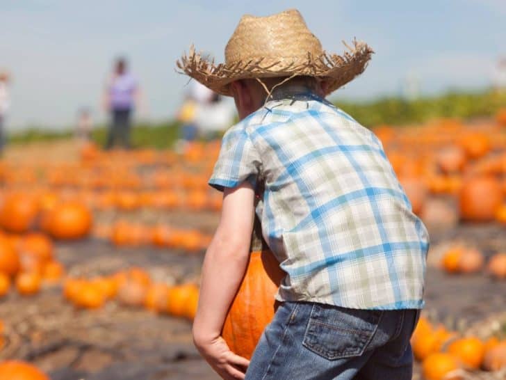 The 8 Best Indiana Pumpkin Patches for 2022