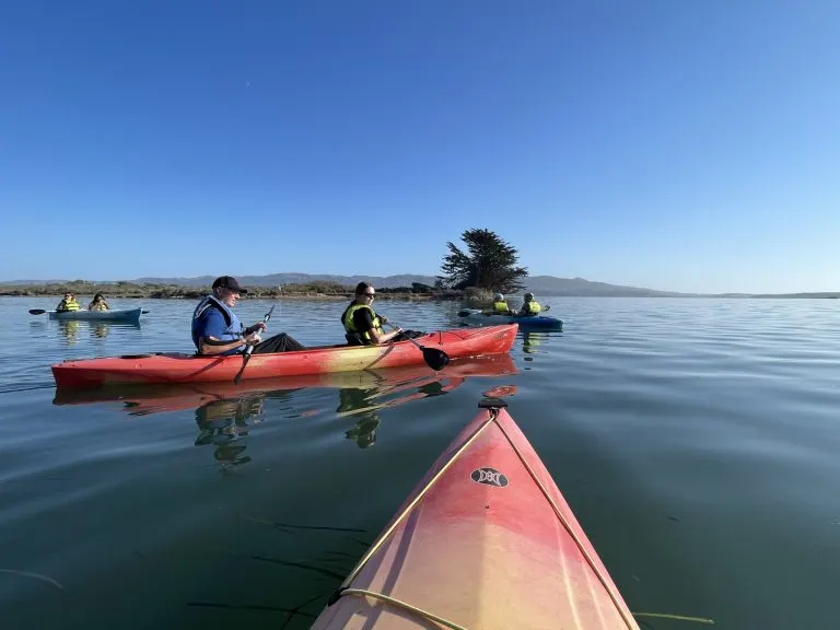 Kayaking the Morro Bay Estuary