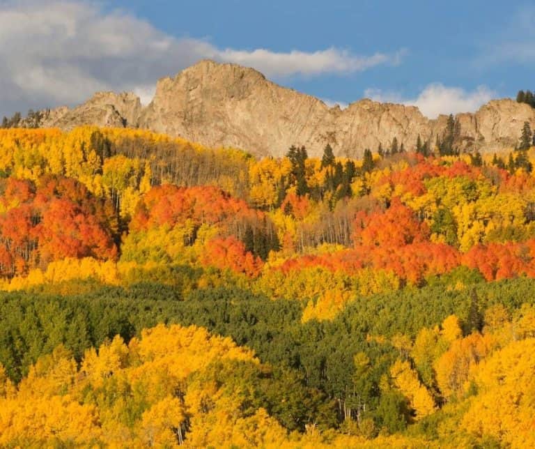 Kebler Pass in COlorado in the autumn