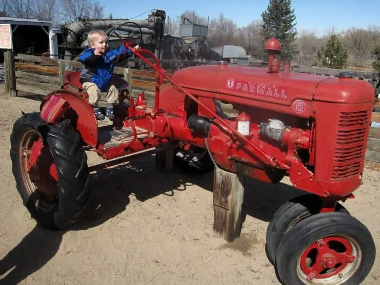 The Farm at Lee Martinez Park has a great pumpkin patch