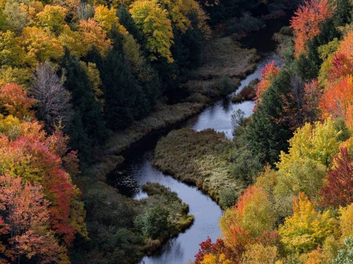 Michigan Fall Foliage- 11 Places to Enjoy Fall in Michigan
