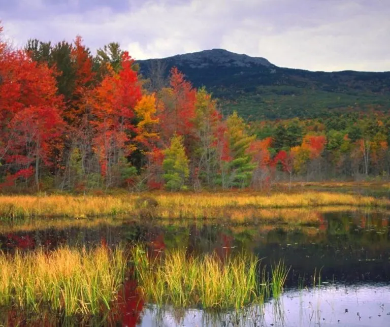 Mount Monadnock in the fall