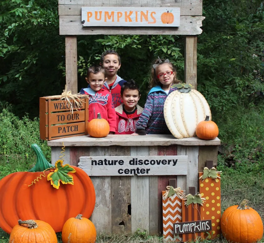10 Best Pumpkin Patches in Houston for 2022 2