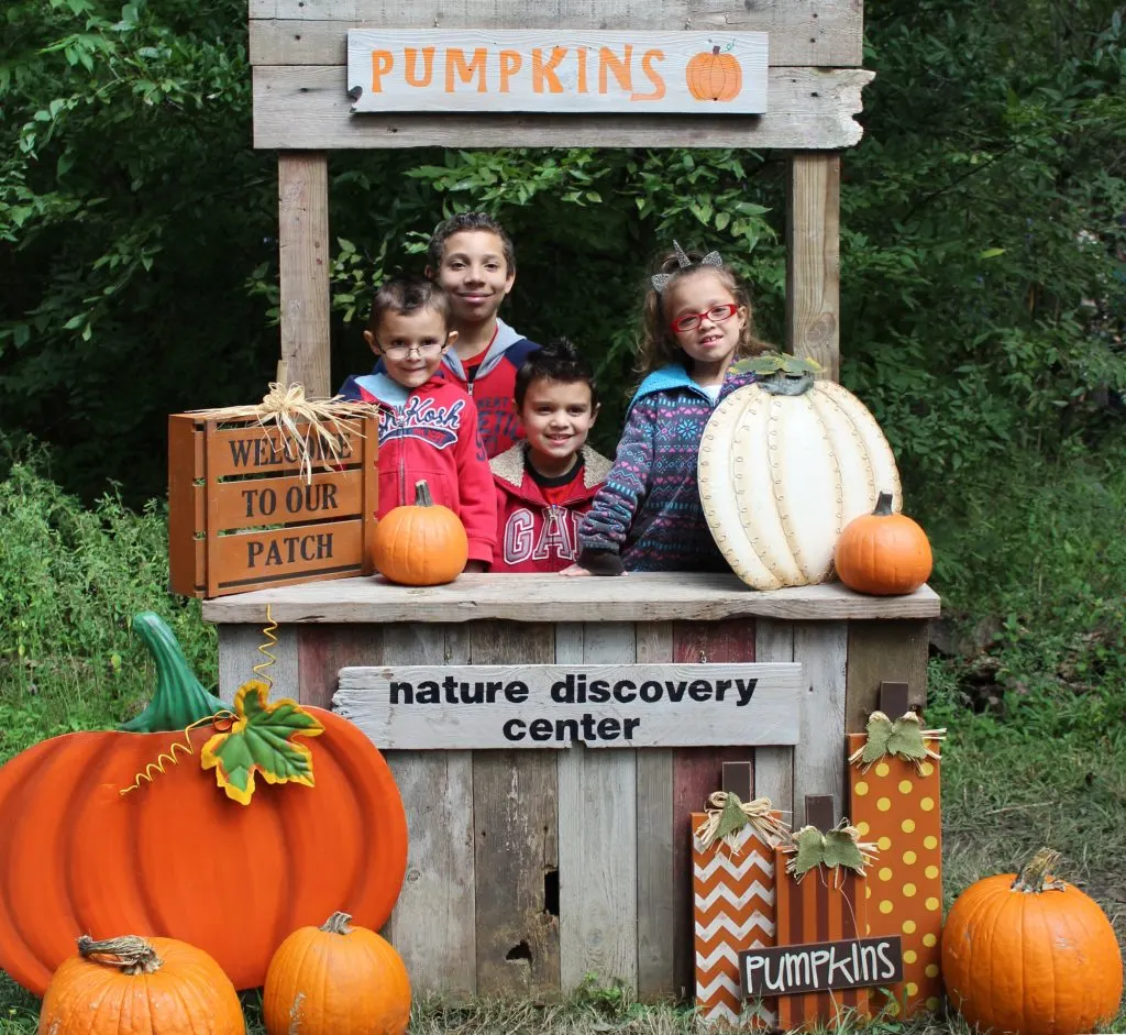 10 Best Pumpkin Patches in Houston for 2023 2