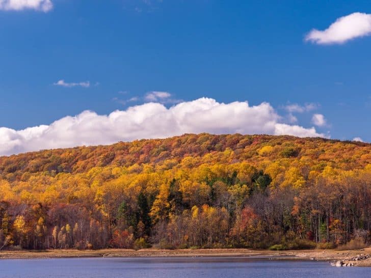 12 Great Places to Enjoy New Jersey Fall Foliage