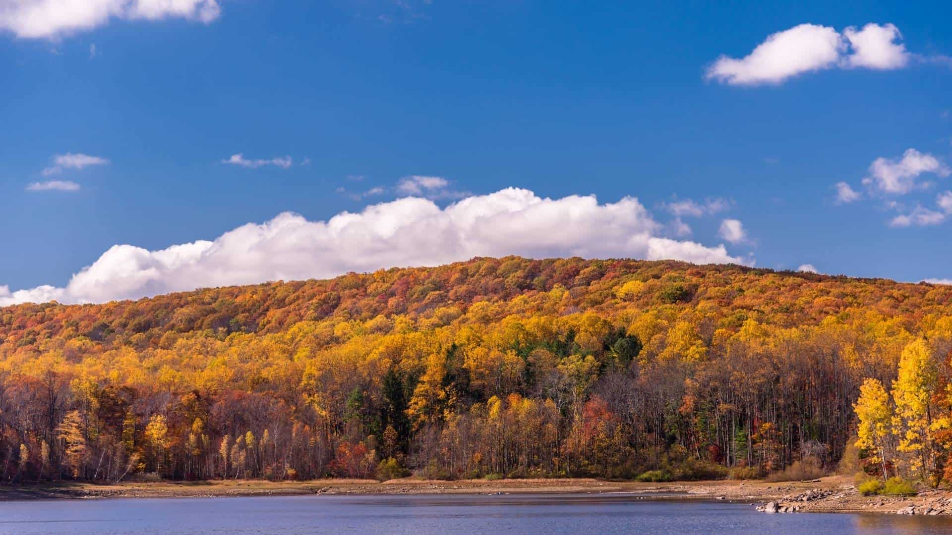 12 Great Spots to Enjoy New Jersey Fall Foliage in 2023