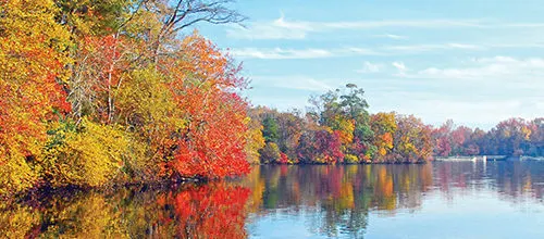 Parvin State Park fall foliage