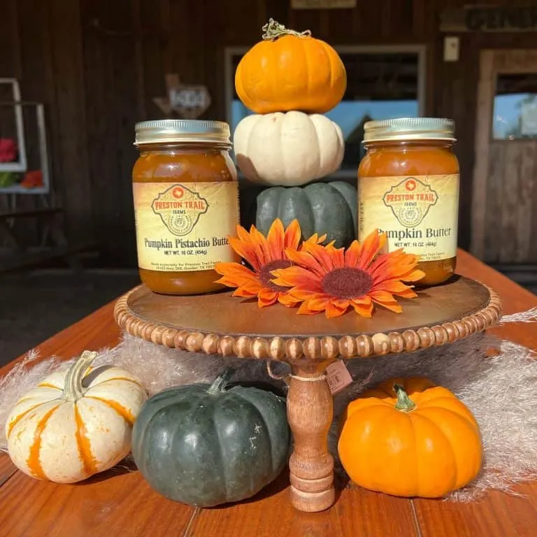 Prestaon Trail Farms pumpkin patch