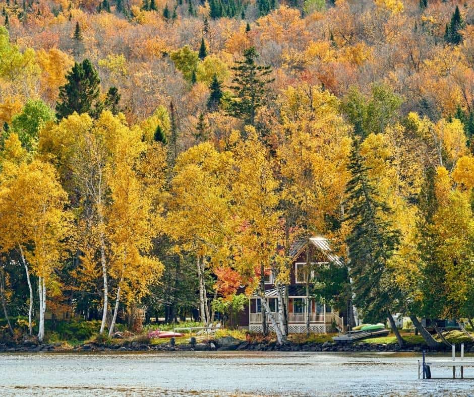 Maine Fall Foliage- 11 Magical Spots to Enjoy Maine in Fall 1