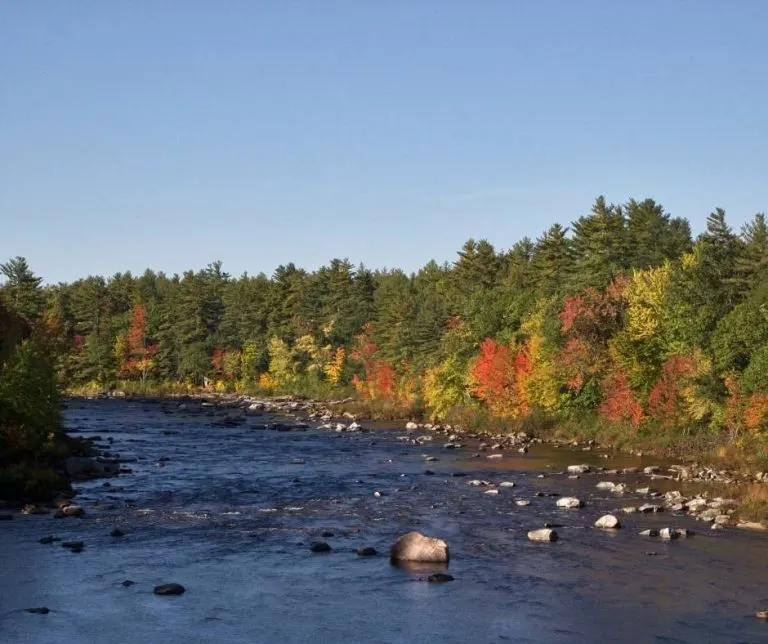 Saco River in the fall
