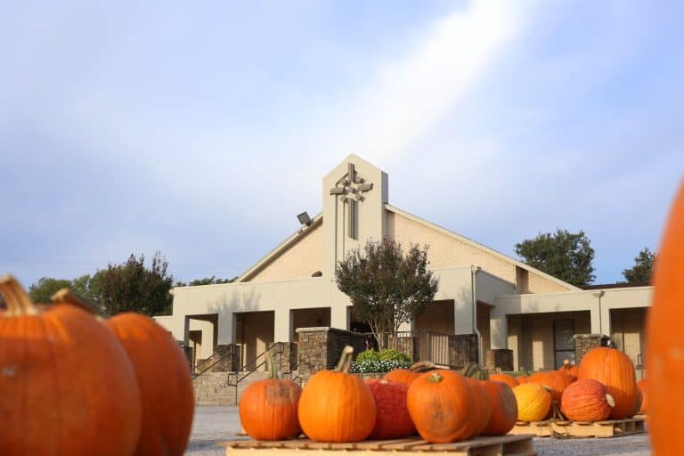 Thousand Oaks Bible Church hosts a pumpkin patch in San Antonio