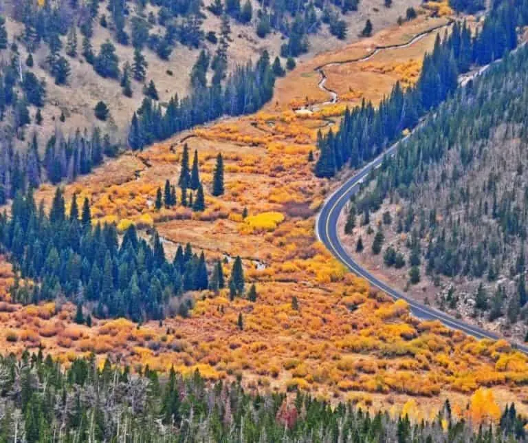 Trail Ridge Road in autumn
