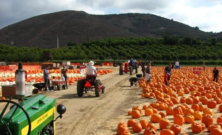 Underwood Family Farms is one of the best pumpkin patches in Los Angeles Metro