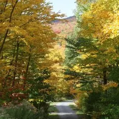 Vermont Fall Foliage- 12 Great Ways to Enjoy Fall in Vermont