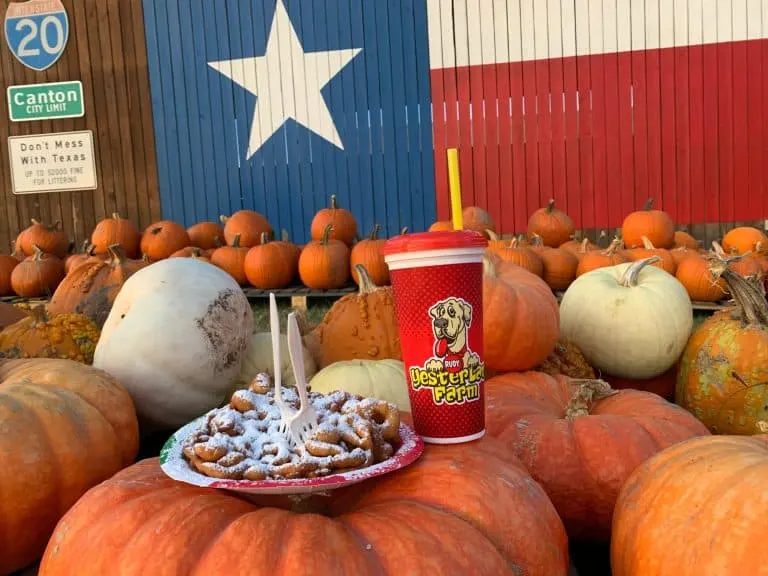 Yesterland Farms Pumpkin Patch