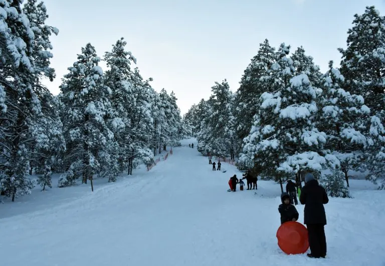 Oak Hill Snow Play Area is a good place to go sledding in Arizona