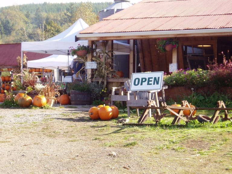 Fall City Farms has a great pumpkin patch near Seattle