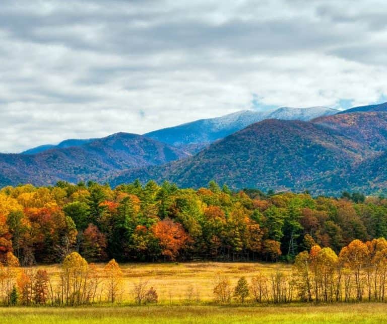 Cades Cove Tennessee fall colors