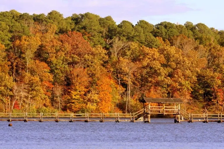 Chickasaw State Park in Tennessee during the fall