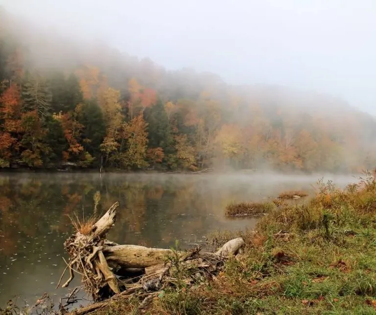 Fall in Tennessee along the Cumberland River