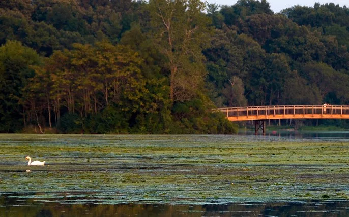 Visiting Gallup Park is one of the best things to do in Ann Arbor with kids