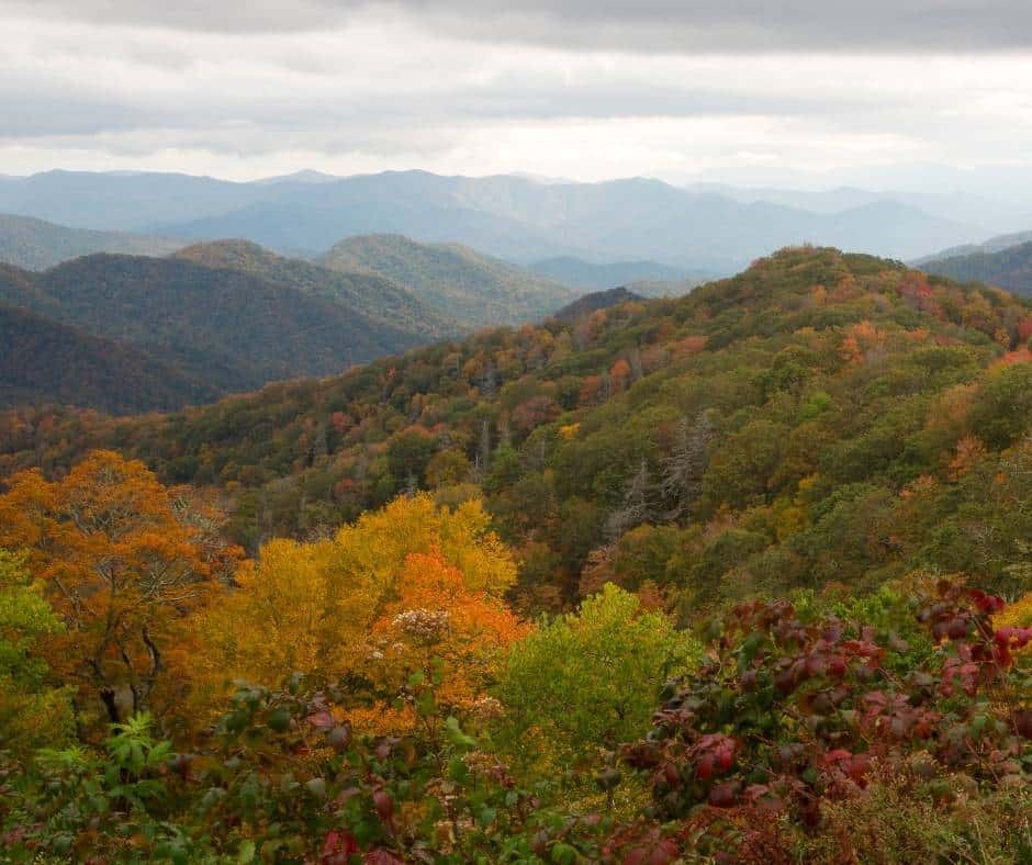 Tennessee Fall Colors- 15 Great Places To Enjoy Fall Foliage