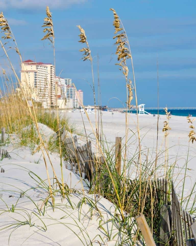 Gulf Shores Alabama is one of the best beaches on the Gulf Coast