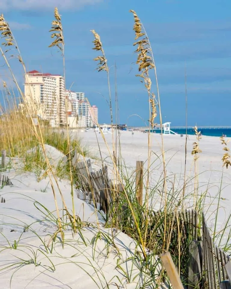 Gulf Shores Alabama is one of the best beaches on the Gulf Coast