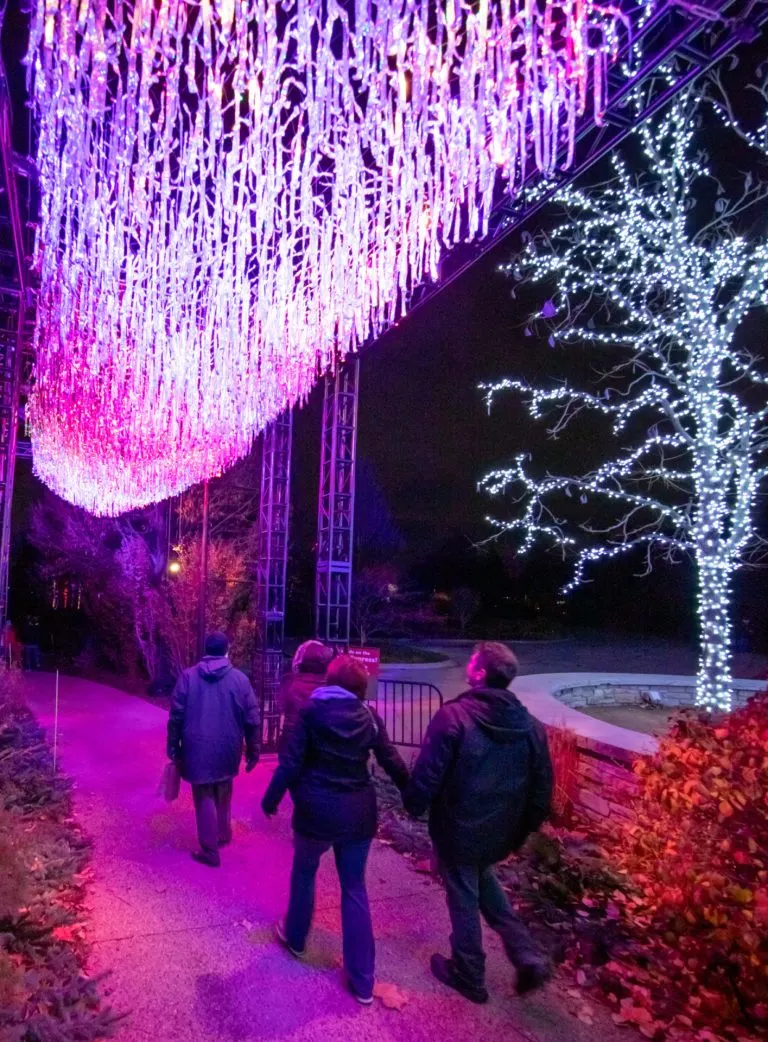  Illumination: Tree Lights at the Morton Arboretum is one of the best Chicago Christmas Events