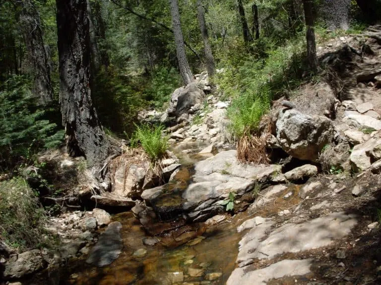 Marshall Gulch Trail