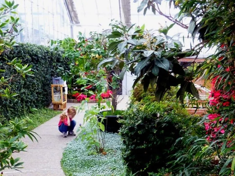 Matthaei Botanical Garden