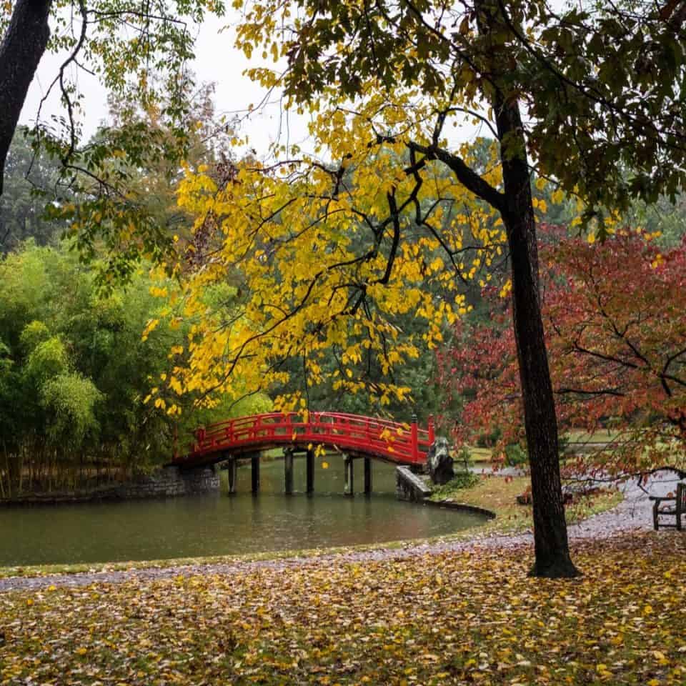 Tennessee Fall Colors- 15 Great Places To Enjoy Fall Foliage