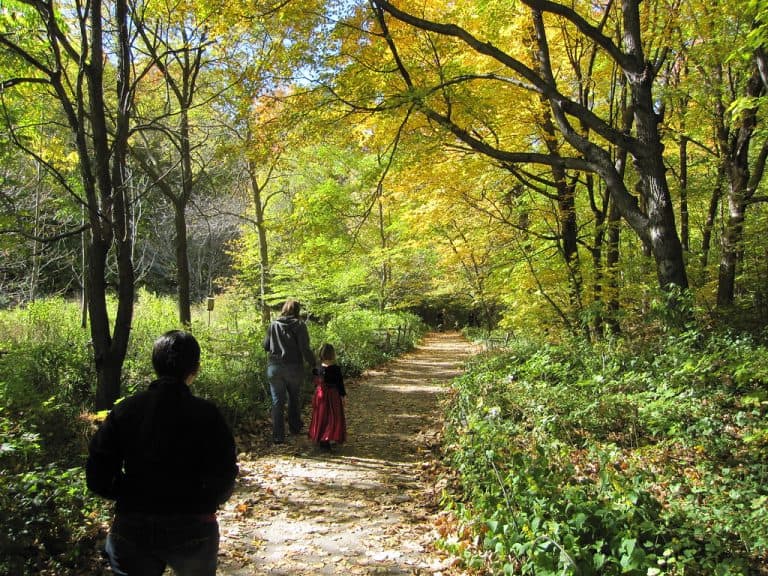 Minnesota Landscape Arboretum in fall