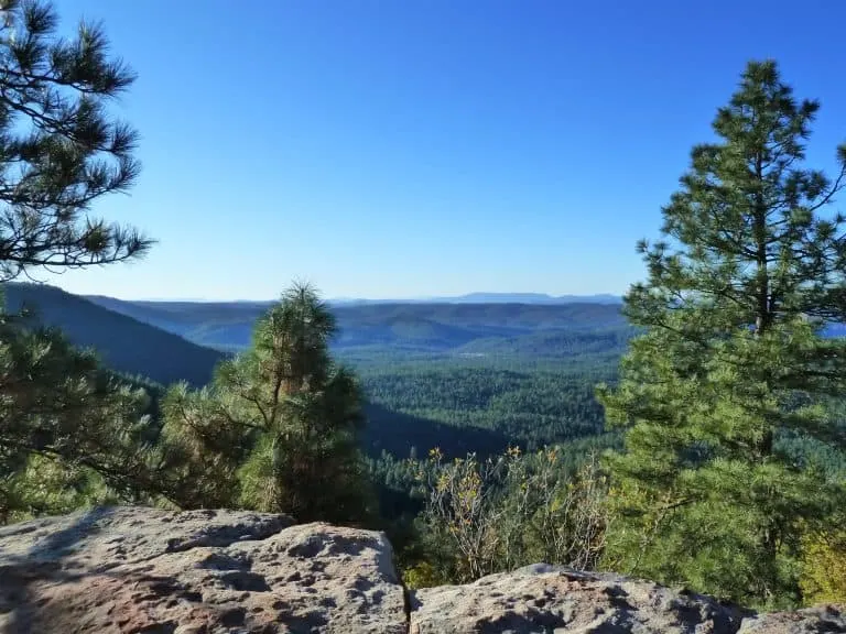 The Rim Near Heber, AZ