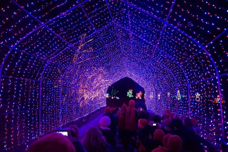 Christmas in Philadelphia includes the Holiday Lights SHow at Shady Brook Farm