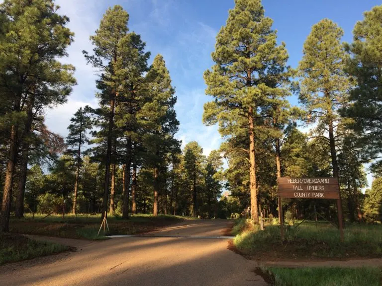 Tall Timbers County Park in Heber