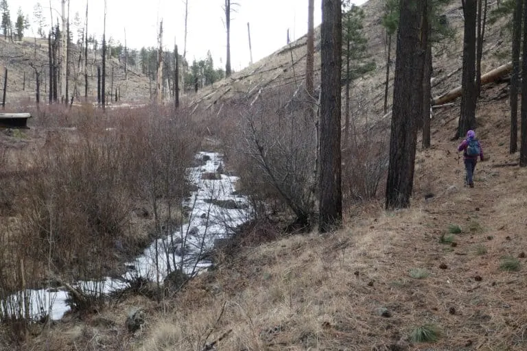 Little Colorado River in Springerville