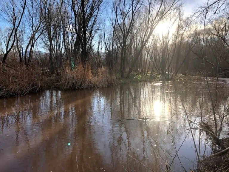 Verde River in Cottonwood