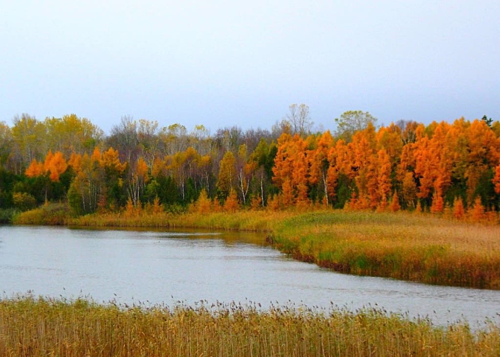 Wisconsin Fall Colors- 14 Spots to Enjoy Wisconsin Fall Foliage 2