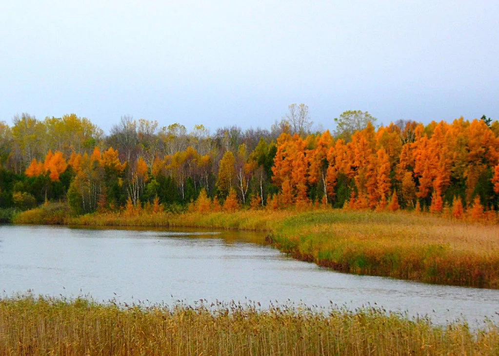 Wisconsin Fall Colors- 15 Spots to Enjoy Wisconsin Fall Foliage 2