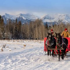 9 Enchanting Banff Christmas Events