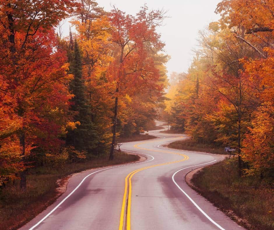 Wisconsin Fall Colors- 14 Spots to Enjoy Wisconsin Fall Foliage 1