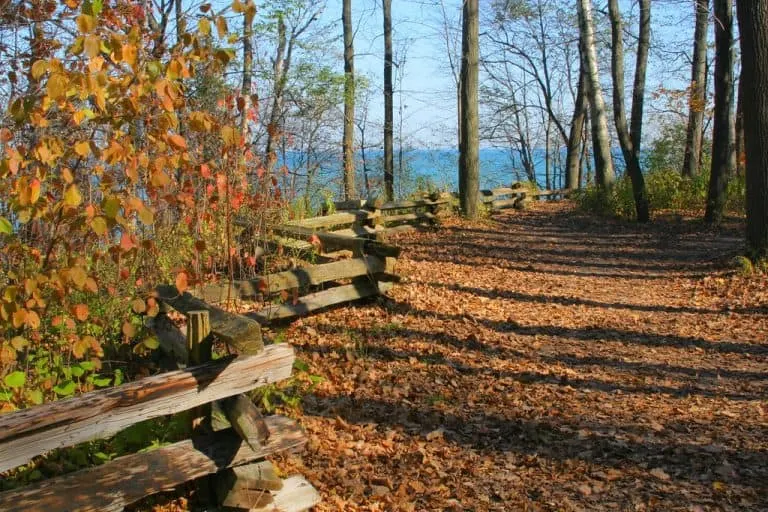 Grant Park fall foliagein Milwaukee