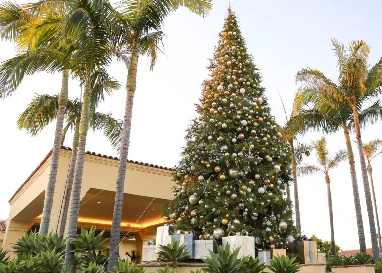 Ritza Carlton Laguna Niguel Christmas tree