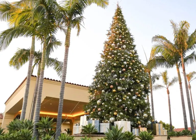 Best Christmas decorations in Orange County - Orange County Outdoors