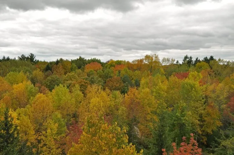 Fall foliage at the Schlitz Audubon Center