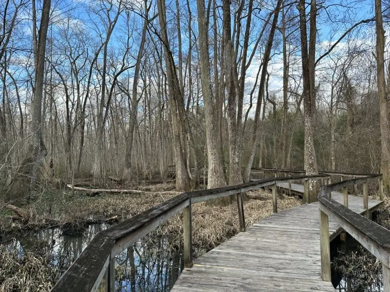 Bluebonnet Swamp Nature Center in Baton Rouge