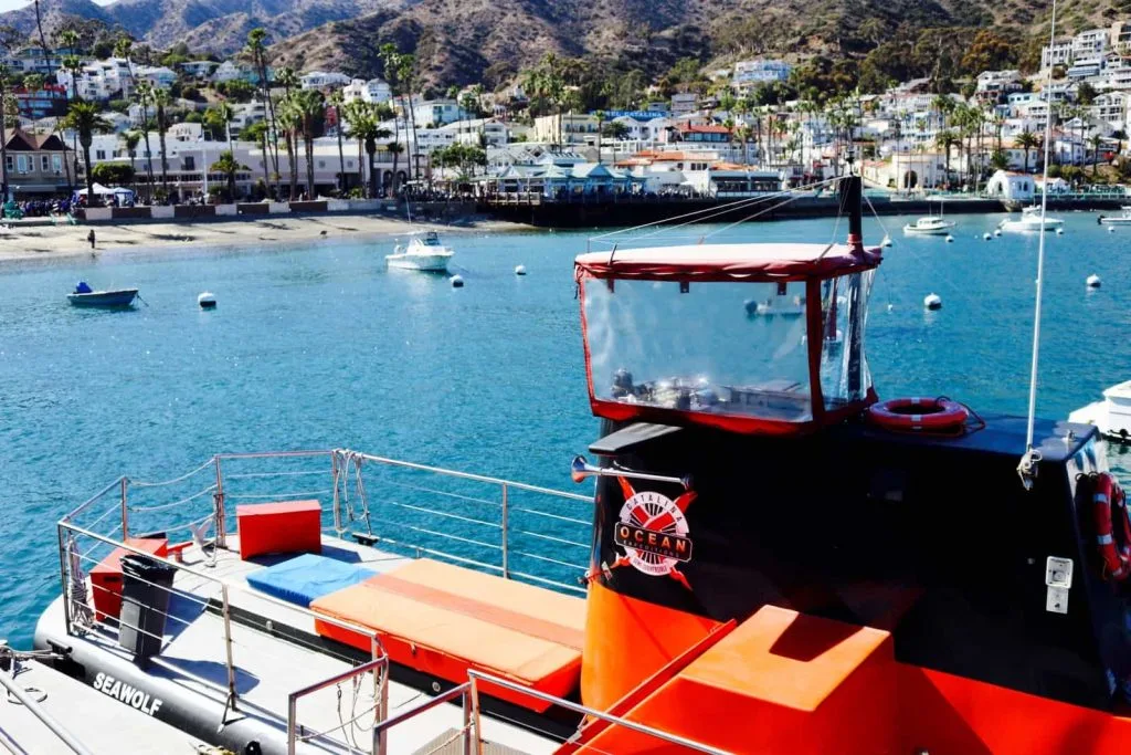 Catalina Island Winter Fun- 12 Fun Activities for Families 2