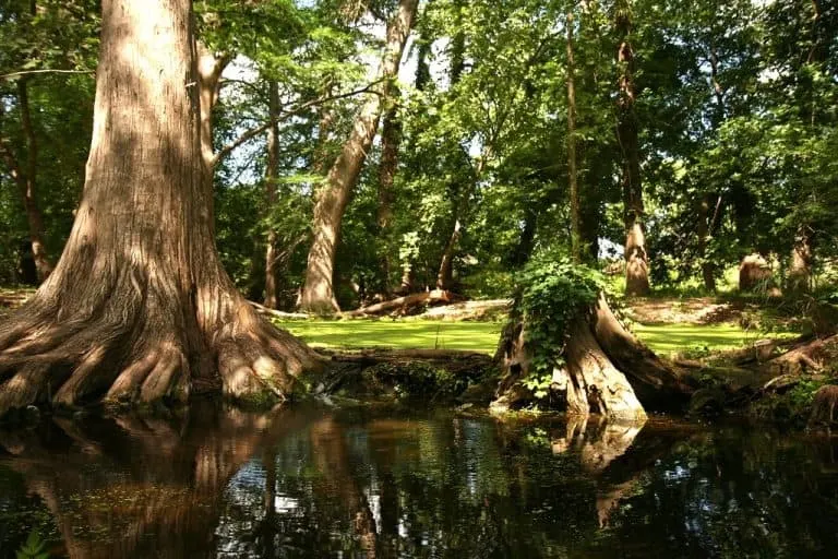 Cibolo Creek in Boerne