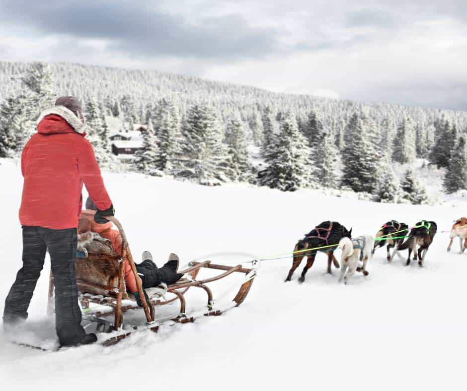 Dog Sledding in Colorado- 10 Best Spots to Experience the Sport